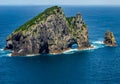 Motu KÃÂkako, also known as Piercy Island or The Hole In The Rock.